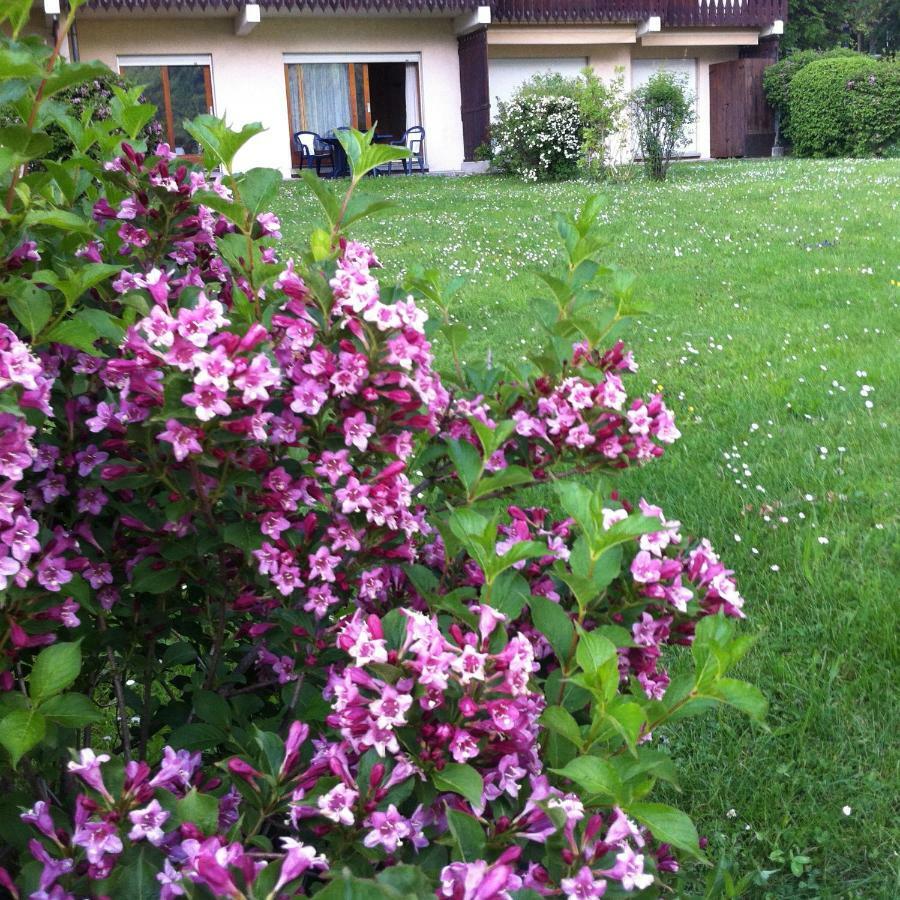 Front Ski Slope Chamonix Apartment ภายนอก รูปภาพ